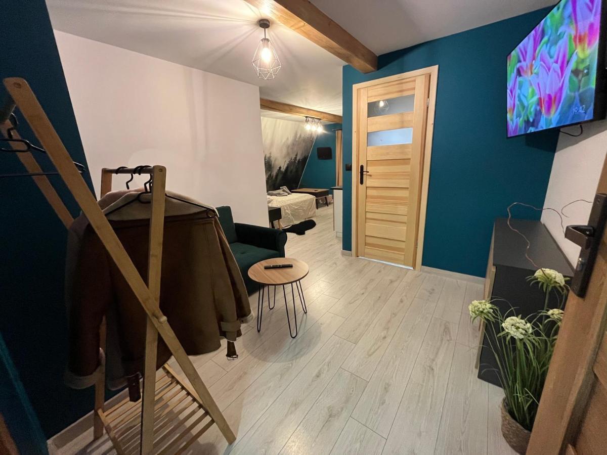 U Babci Na Strychu Apartment Закопане Екстериор снимка