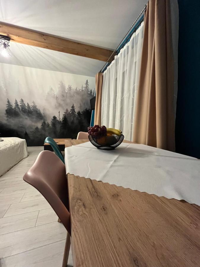 U Babci Na Strychu Apartment Закопане Екстериор снимка